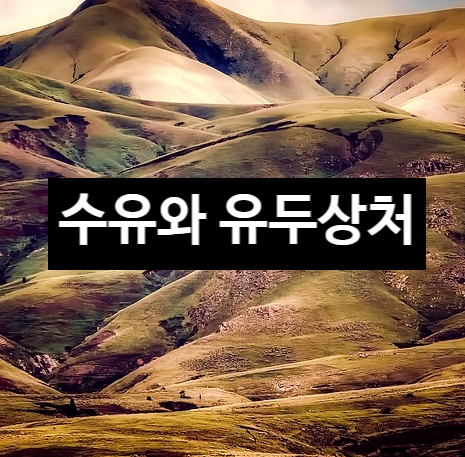  수유하면서 유두에 상처가 났는데 어떻게 하죠?