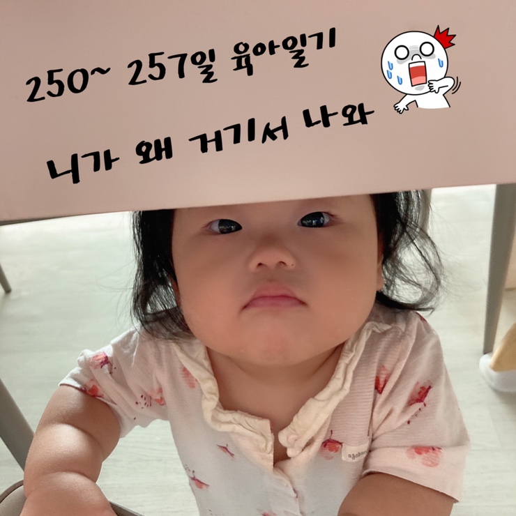  250일~257일 생후 8개월 걸음마연습/ 자기주도/ 6살 오빠의 찐사랑