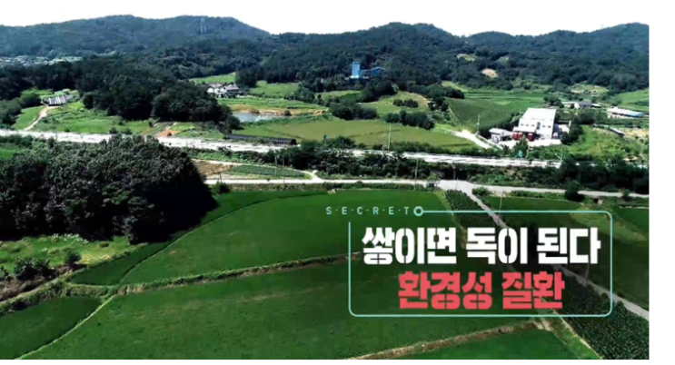  디퓨저, 방향제! 인공향 조심하세요~제발 ㅠㅠ