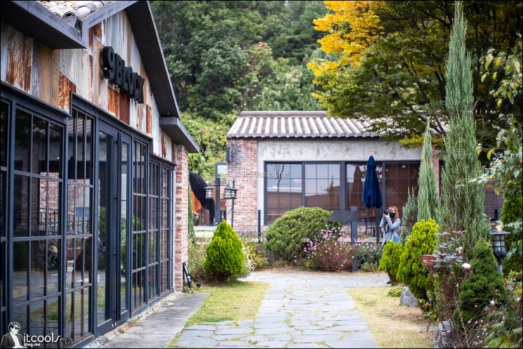  아내와 소니 미러리스 A6100 + 수동 35mm 단렌즈로 파주 카페 나인블럭 출사