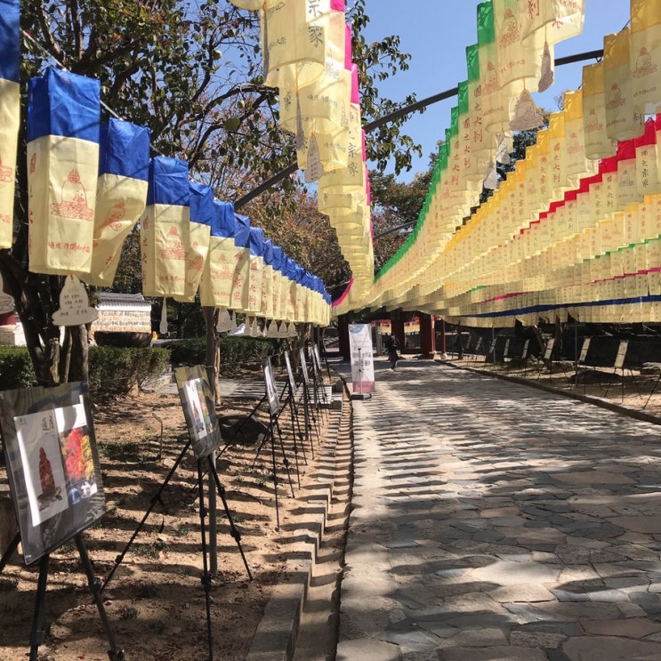  통도사 혼자가기 
