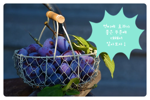  천연변비해결사 [푸룬딥워터]로 변비탈출하세요!