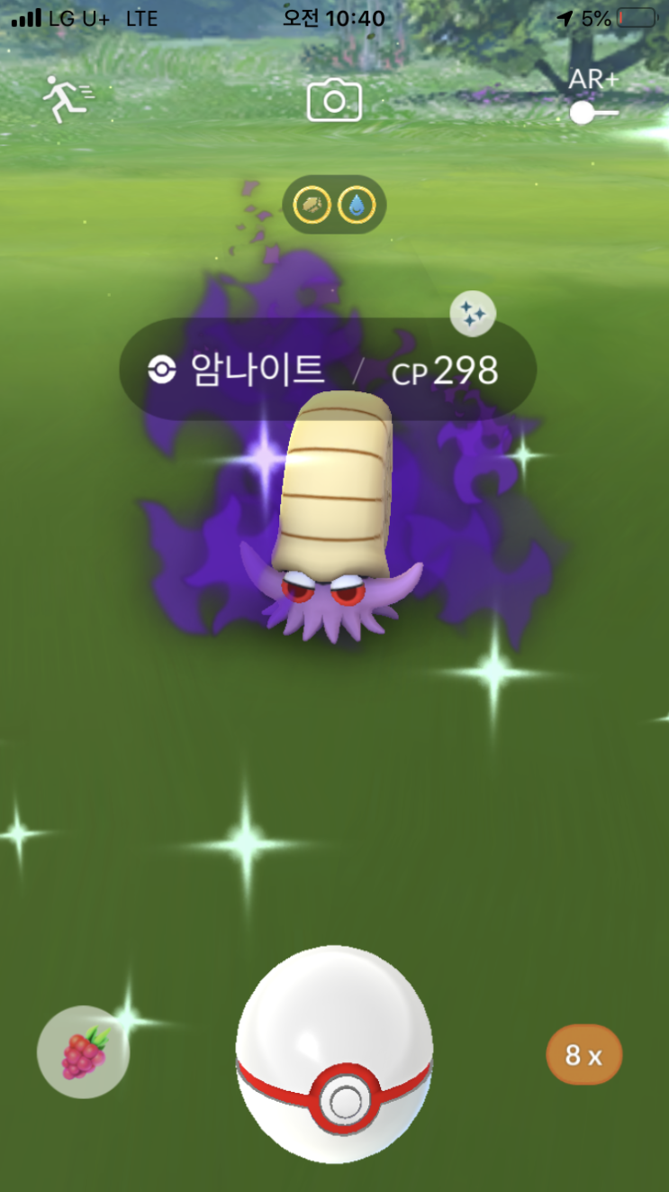  암나이트 이로치