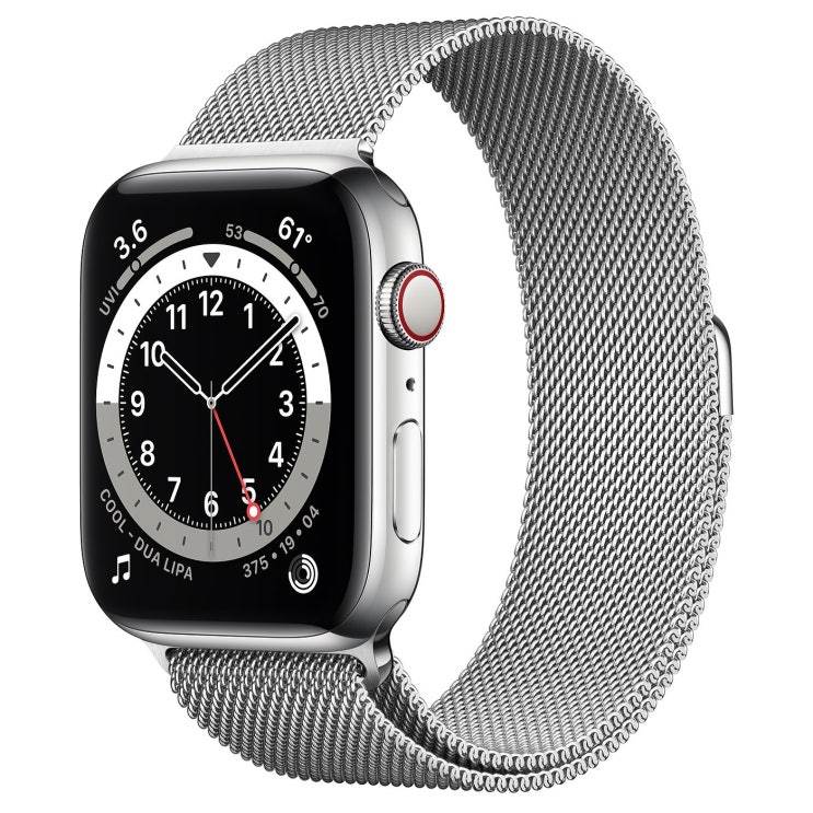Apple 2020년 애플워치 6 GPS + 셀룰러 44mm, 실버 스테인리스 스틸(케이스), 실버 (밀레니즈 루프)
