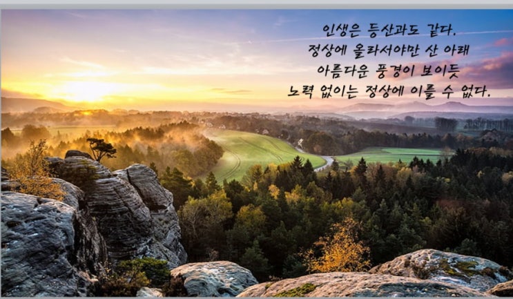  오늘의 명언
