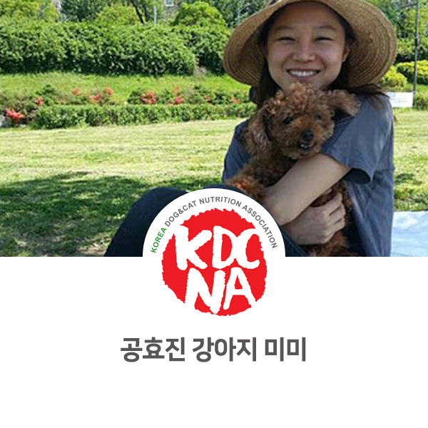  [연예인 강아지 고양이] 공효진 반려견 미미 토이푸들_633