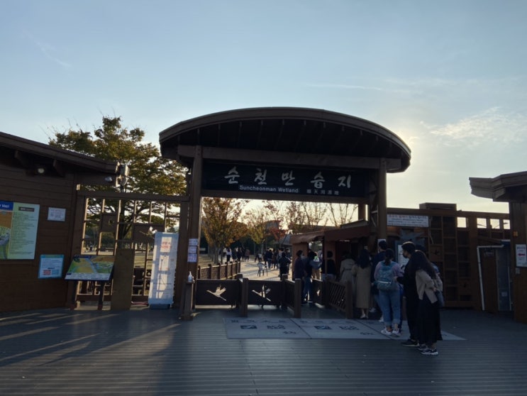  순천만습지 갈대밭 가을여행 추천해요