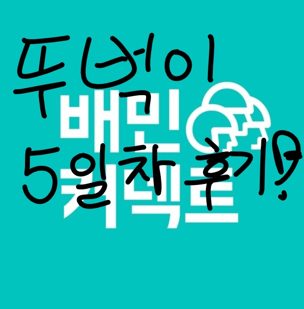  배민 뚜벅이 퇴근하고 열심히 걸어서 배달하기 5일차!
