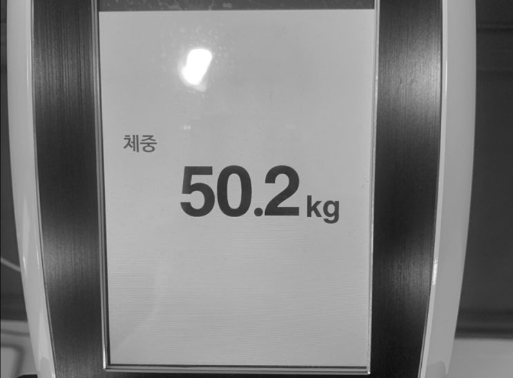  다이어트첼린지 5일 / 필라테스/라이노/세공/디자인 20201016