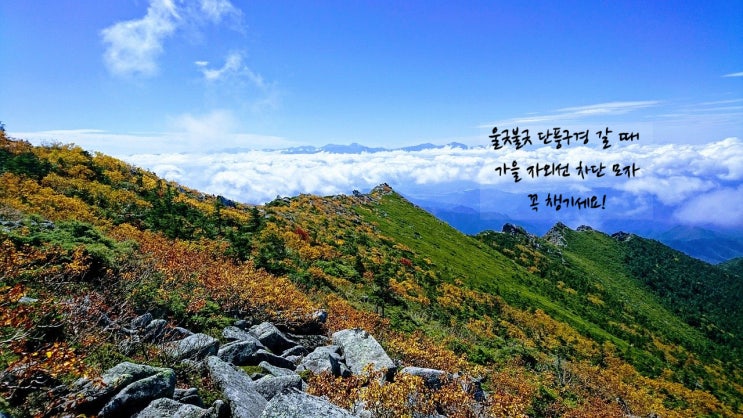  가을 산행 자외선 조심! 스위스마운틴 자외선 차단 모자!