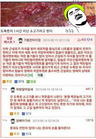  <의대생존기/대학생일상> 앵그리버드가 된 주간