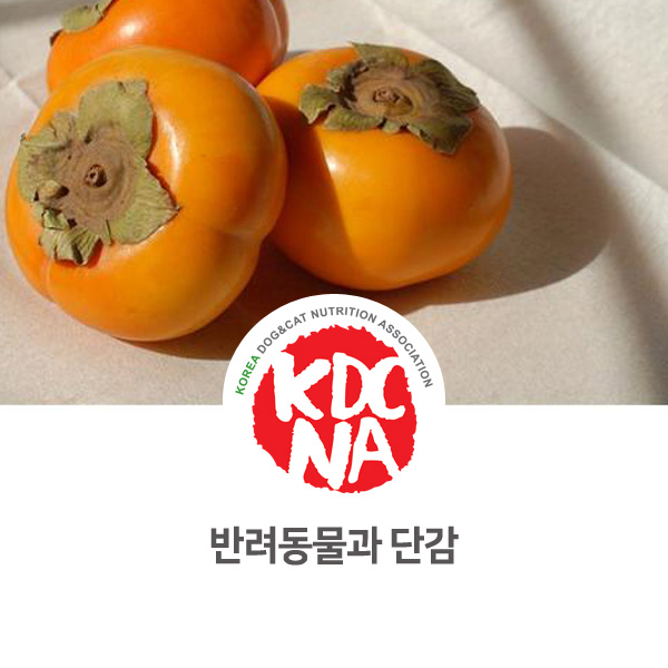  [강아지 고양이 애견수제간식 창업] 반려동물 단감 먹어도 되나요?_641