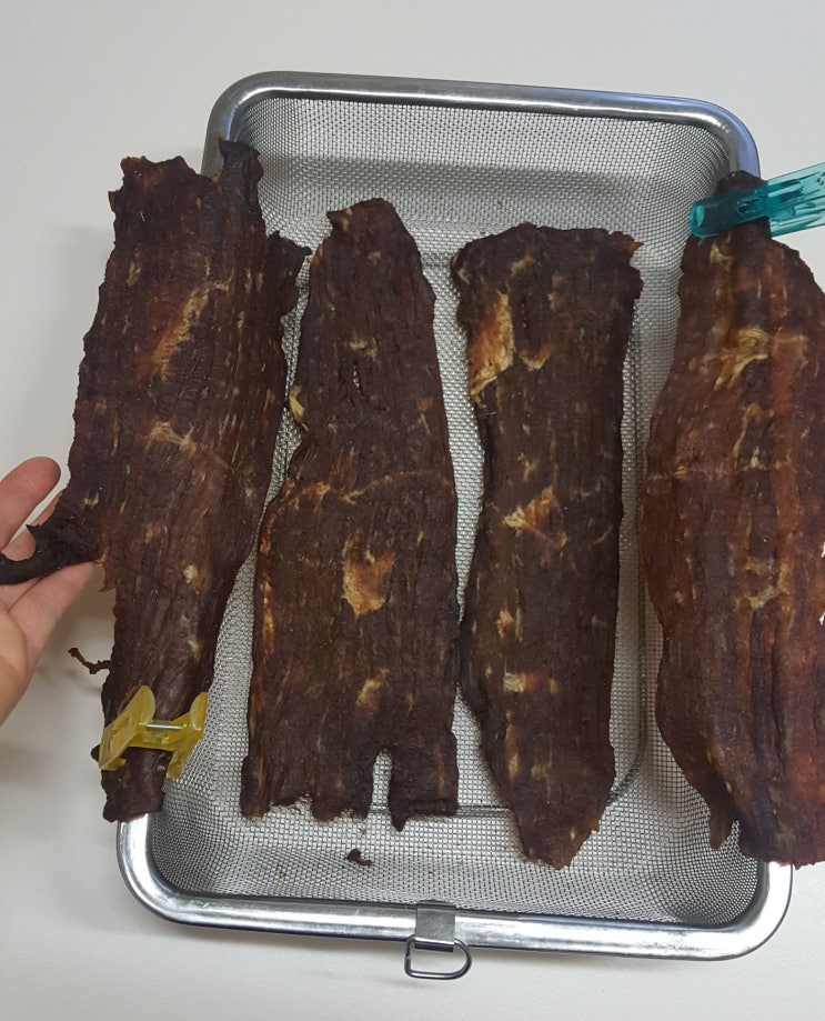  [배움] 육포