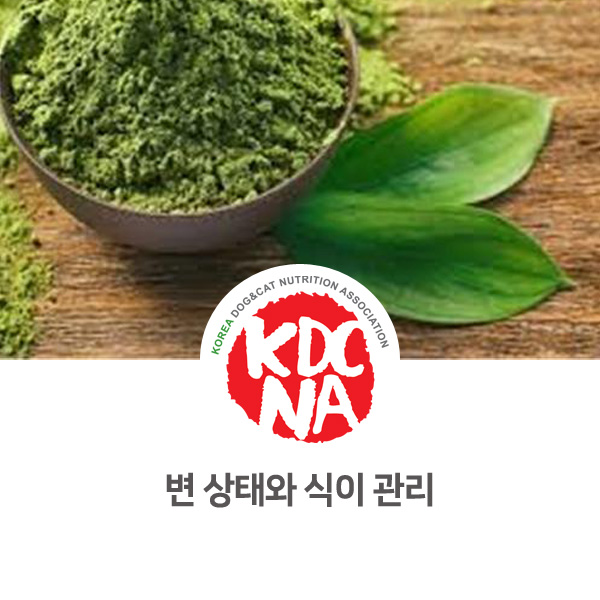  [수원 안산 펫푸드 자격증] 강아지 고양이 변 상태에 따른 식이 관리_634