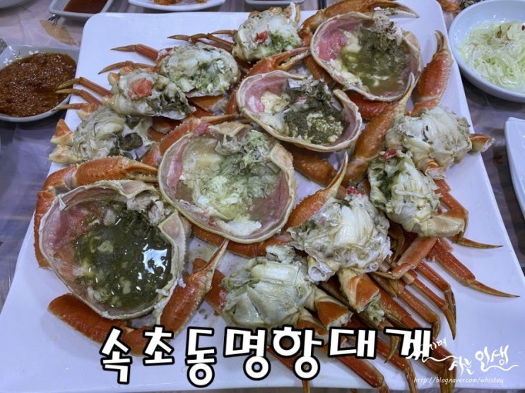  [동명항 맛집] 속초 대게 맛집 속초동명항게찜