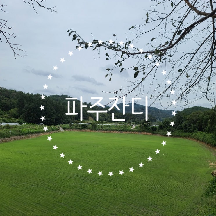  통일의 관문 파주 잔디 배달했어요
