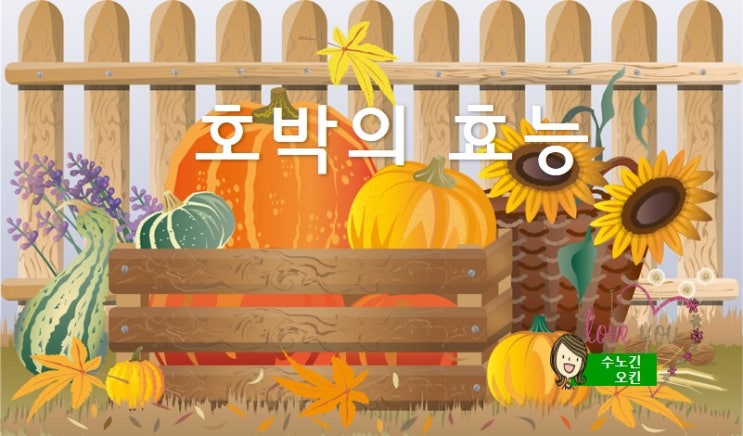  늙은 호박의 효능과 부작용에 대해 소개합니다^^