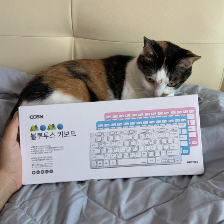  블루투스 키보드 아이패드 연결
