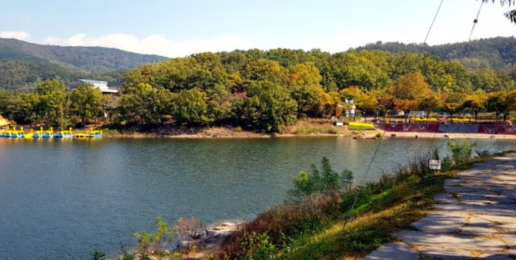  대구 명소 데이트 코스, 봉무공원(산책, 캠핑, 단풍, 단산지, 나비생태원)