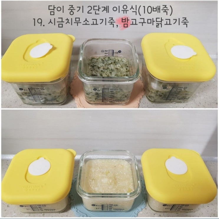  [중기] 2단계 이유식 후기(263일~289일)