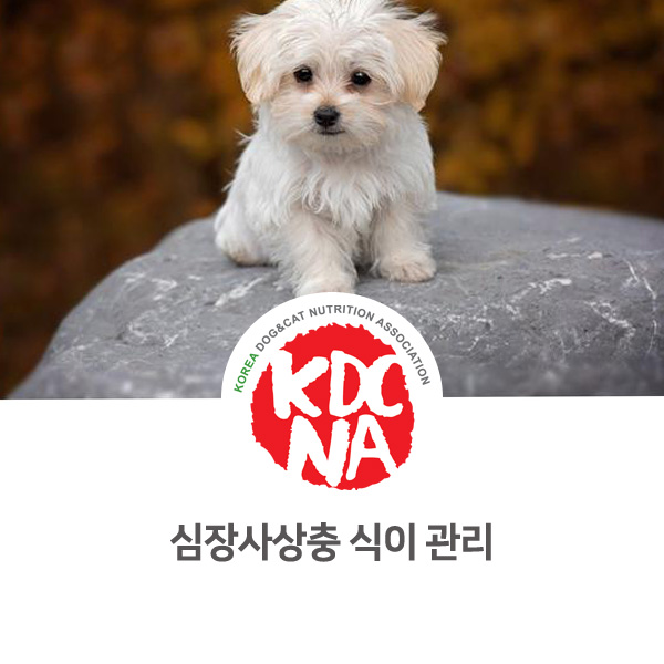  [수원 남양주 펫푸드 정보] 한국반려동물영양협회 최수연 펫영양사 : 심장사상충 강아지 식이 관리 상담_636
