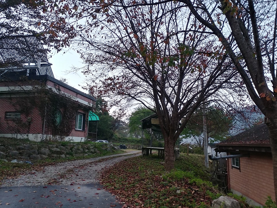 능막골 사진 2