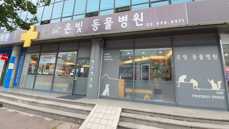  소하동, 3년째 다니는 '온빛 동물병원'  /  광견병 접종
