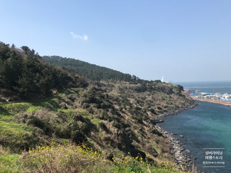  [여자혼자 제주도 두달살기] 여자 혼자 걷기 좋은 제주도의 올레길, 제주시의 사라봉 오름 등산로 추천