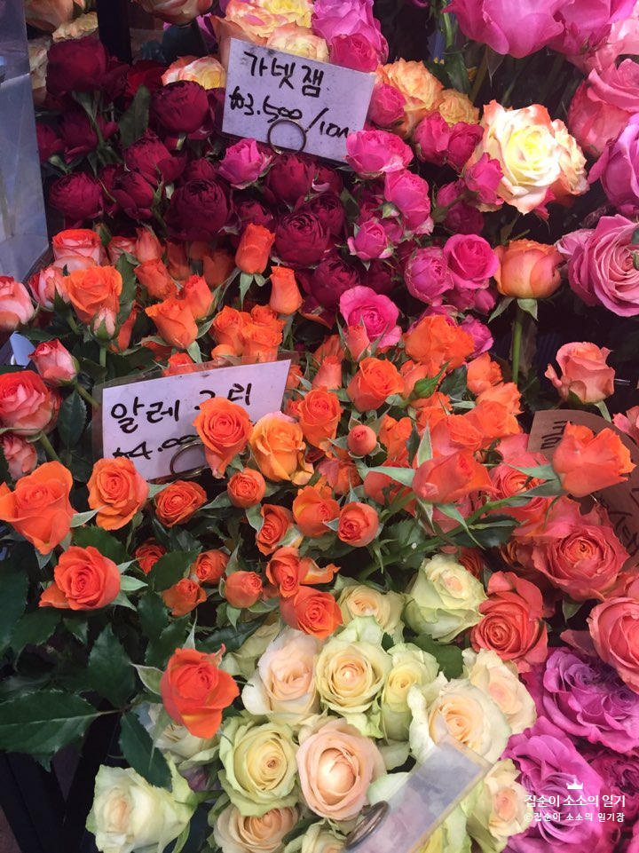  가을꽃 선물