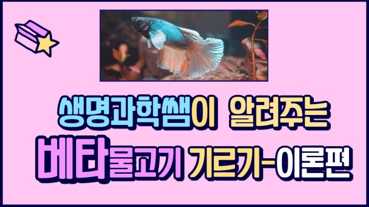  생명과학쌤이 알려주는 베타 물고기 기르기-이론 편 (신기한 특징)