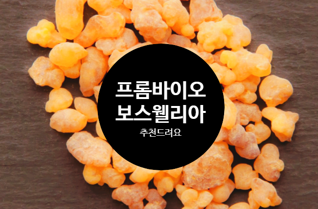  프롬바이오보스웰리아 관절 연골에 탁월한듯해요