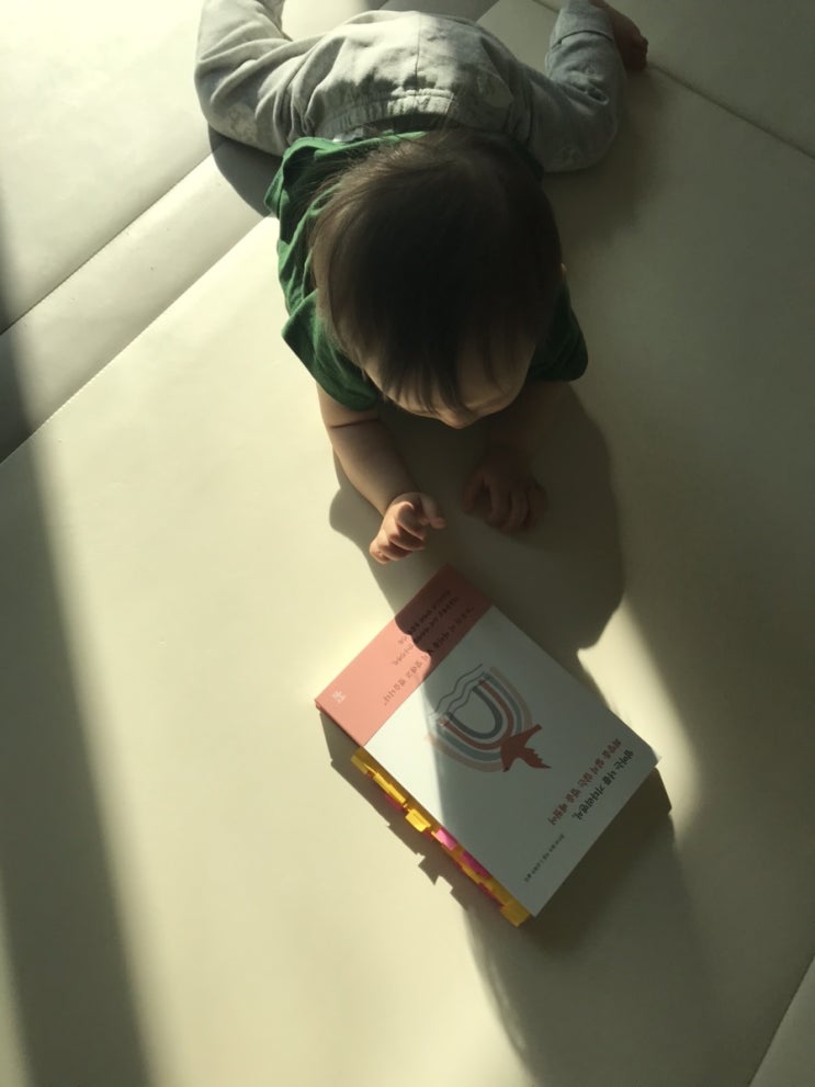  다운천사 20개월 재활 치료기. 다운증후군 발달 지연 물리치료