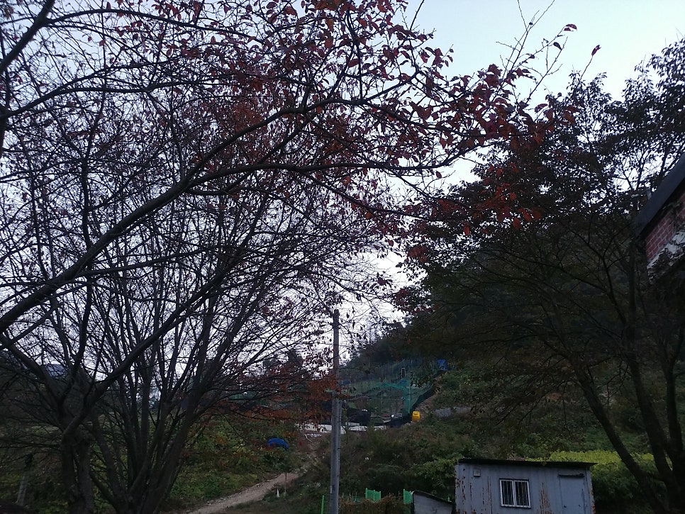 능막골 사진 3