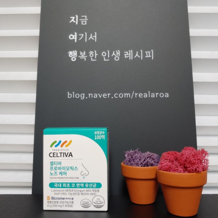 알레르기비염으로 힘들다면 코면역 강화식품 NVP-1703 & 바이크롬 코유산균!