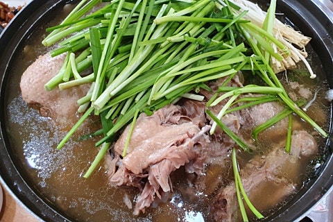 하야로비펜션 이미지