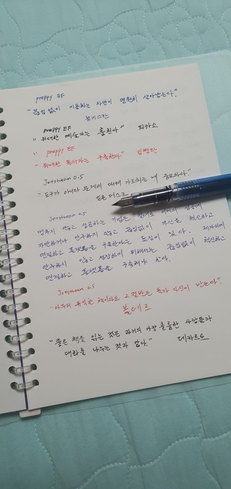  만년필 구매 기념 필사  - 김병완의  플랫폼 독서법