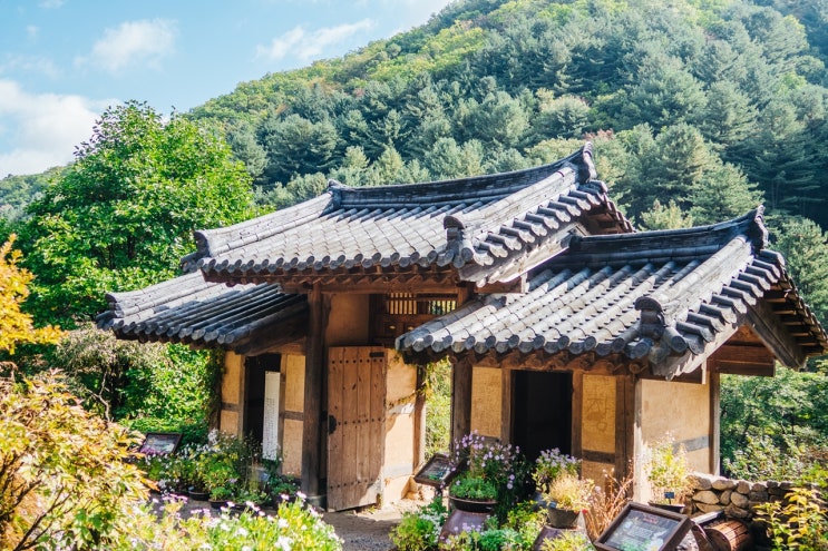 서울근교 갈만한곳 가평 아침고요수목원 꽃도 보고 잣막걸리도 마시고 서울근교 갈만한곳 가평 아침고요수목원 꽃도 보고 잣막걸리도 마시고