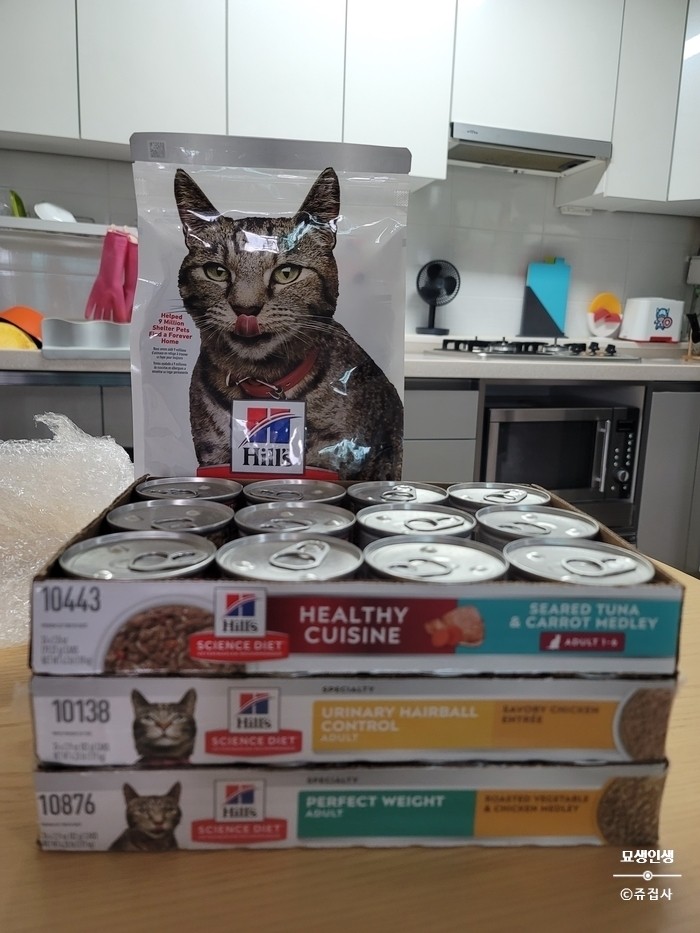 고양이 급여량 계산과 사료 칼로리 계산 아주 쉽게 따라 하기! : 네이버 블로그