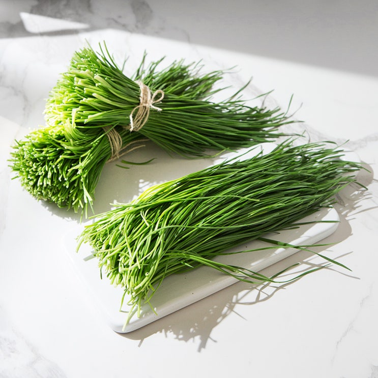 국내산 영양부추, 500g, 1봉