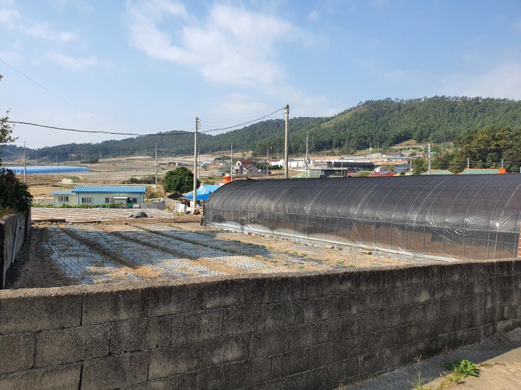  전남 무안, 영광, 신안 드라이브 여행(영광칠산타워, 송도수산시장)