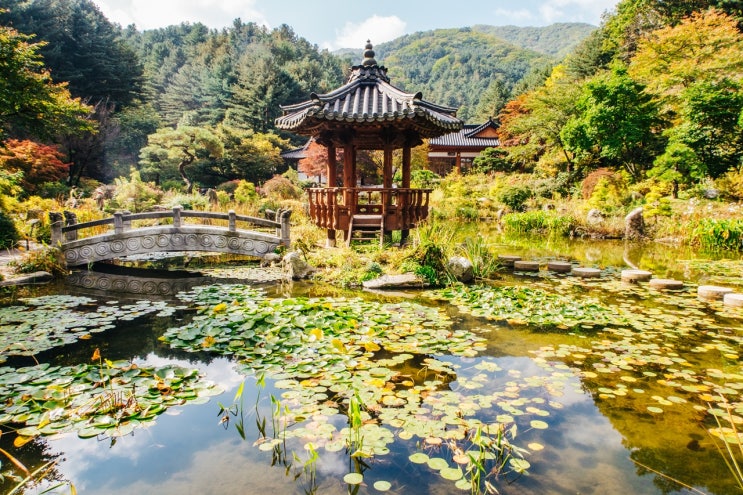 경기도 가볼만한곳 가평아침고요수목원 가을 풍경 & 입장권 특가