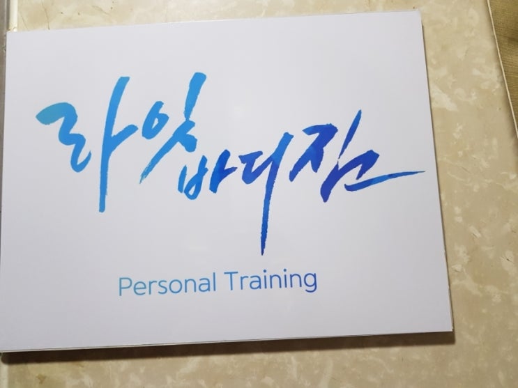  [대치동헬스] 거북목교정 목디스크 전문 선릉pt :: 라잇바디짐