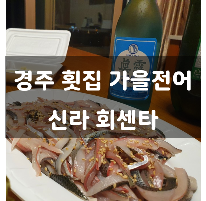  가을전어 신라 회센타 경주 횟집 불국사 블루원 리조트 근처