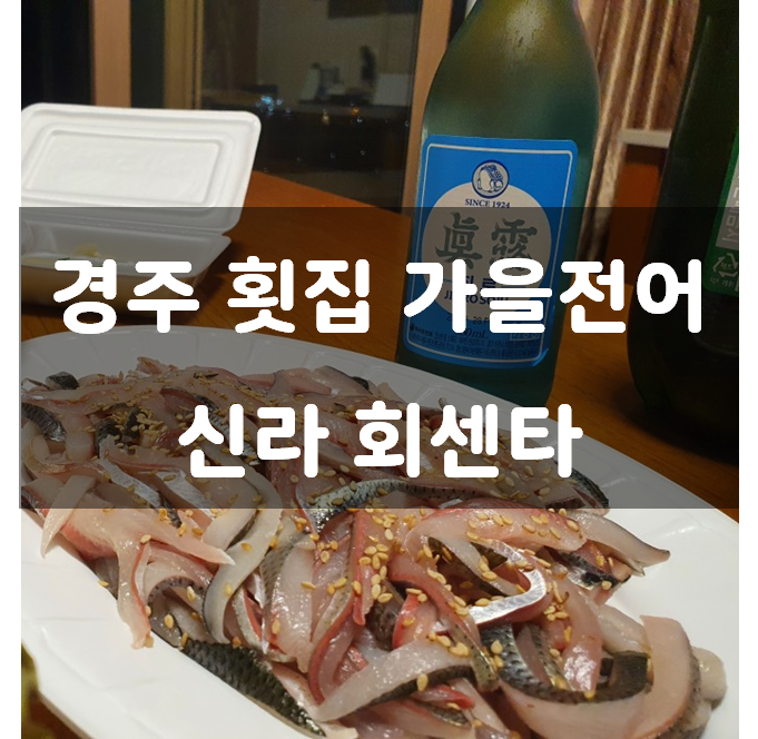 가을전어 신라 회센타 경주 횟집 불국사 블루원 리조트 근처