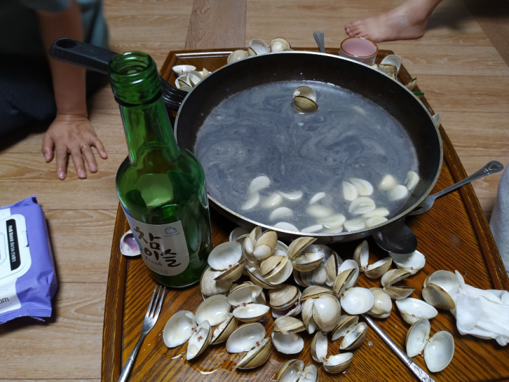 새만금-고사포 동죽, 맛조개 무료터 포인트 + 채석강 고둥 새만금-고사포 동죽, 맛조개 무료터 포인트 + 채석강 고둥