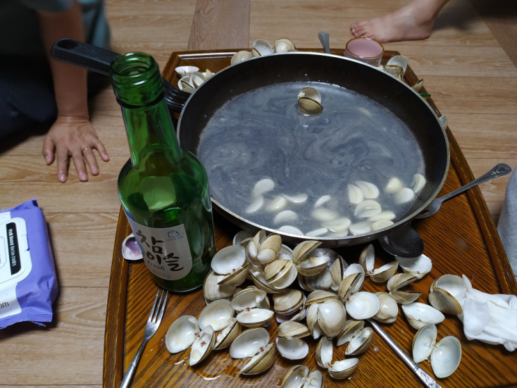 새만금-고사포 동죽, 맛조개 무료터 포인트 + 채석강 고둥