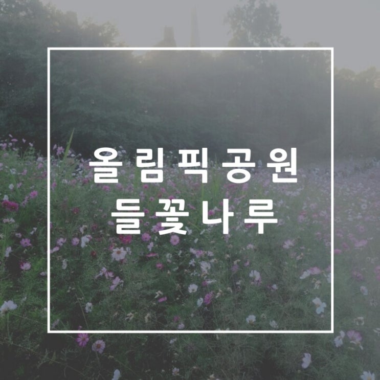 올림픽공원 들꽃마루 아이랑~ 코스모스 만발(주차요금,무료주차팁, 유모차,핑크뮬리 위치,맛집) 올림픽공원 들꽃마루 아이랑~ 코스모스 만발(주차요금,무료주차팁, 유모차,핑크뮬리 위치,맛집)