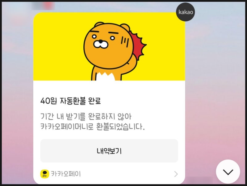 카카오페이 송금 안 받으면 어떻게 될까? 거절하면 이렇게 처리! : 네이버 블로그