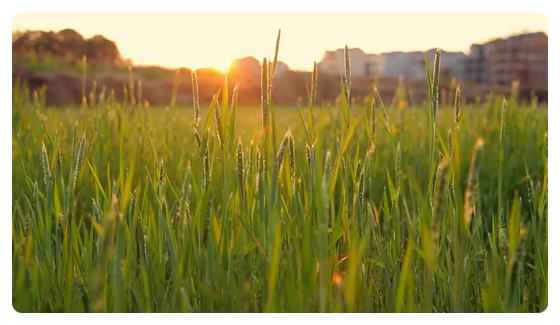 그리스도가 교회들을 다니며 한 말씀/하나님은 모든 피조물의 주인이다