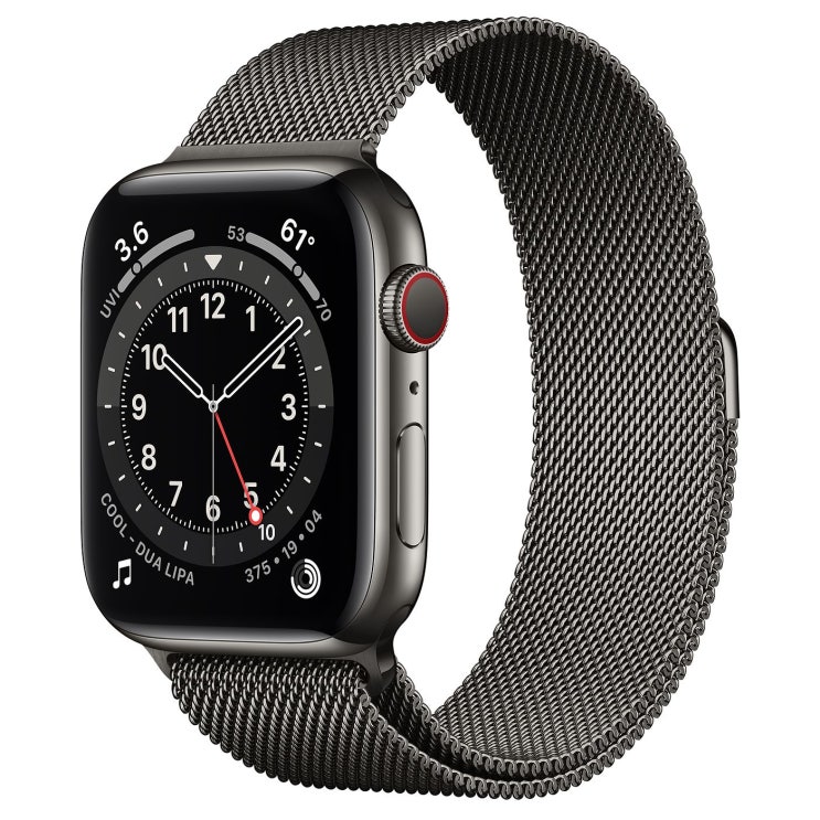  Apple 2020년 애플워치 6 GPS + 셀룰러 44mm, 그래파이트 스테인리스 스틸(케이스), 그래파이트 (밀레니즈 루프)